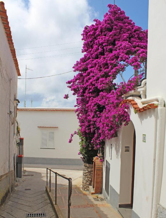 B&B Casa Angelina 아나카프리 외부 사진